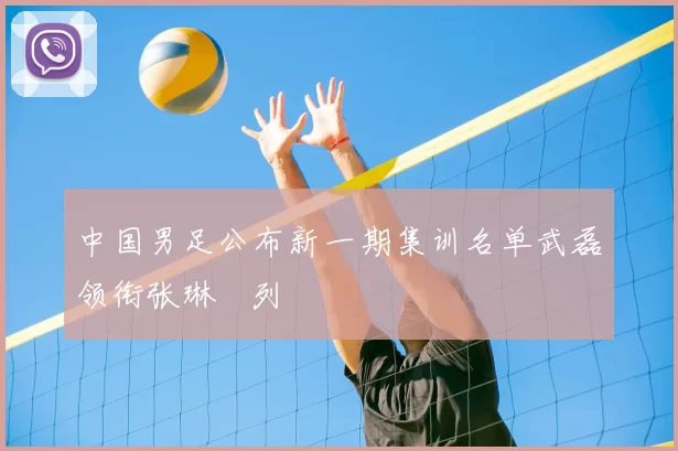 中国男足公布新一期集训名单武磊领衔张琳芃列